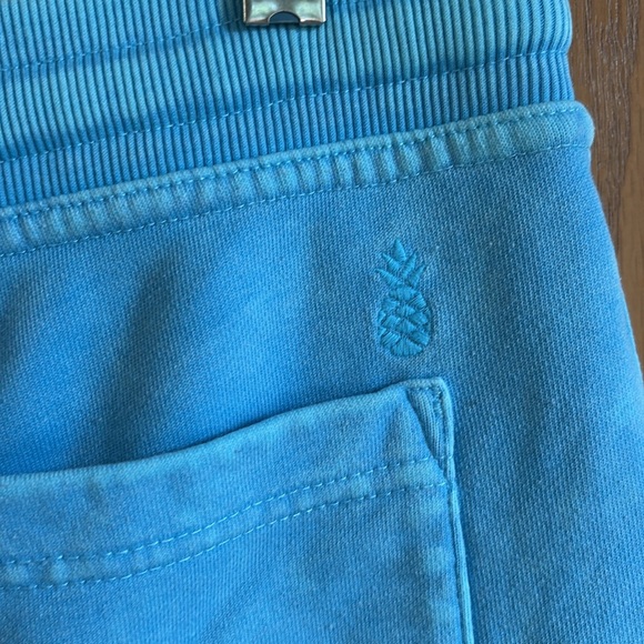 Chubbies large Blue Athletic Shorts Lightweight and Stylish - Picture 5 of 7
